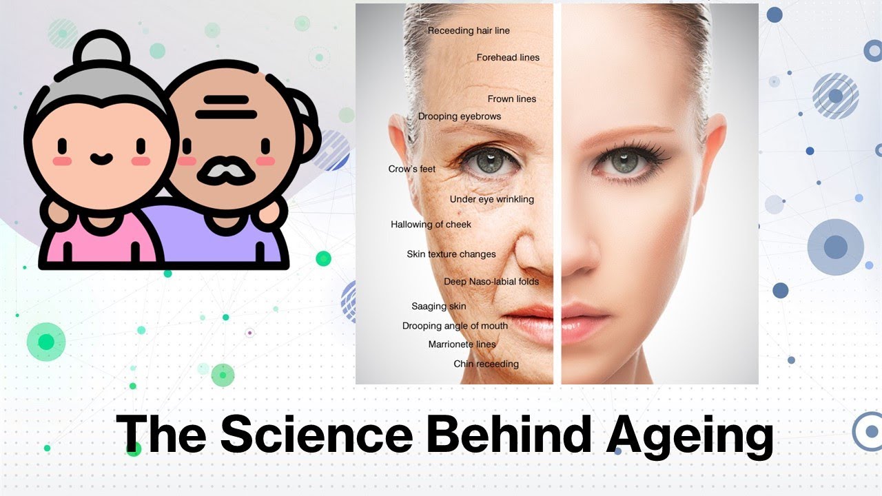 Understand the Science behind Aging - Explained in 5 Minutes