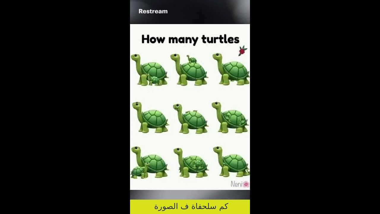تحدي الألغاز مين يحل معانا
