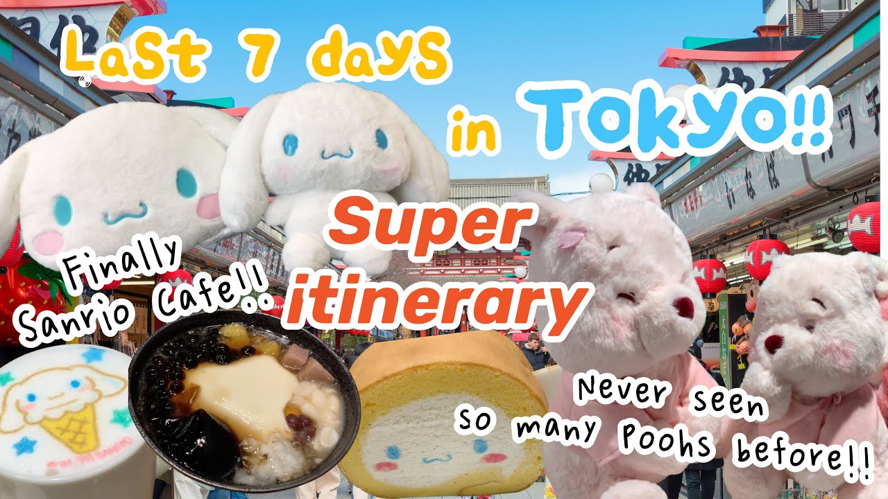 Japan VlogㅣTokyo Pt.2ㅣSanrio Cafe!ㅣKaminarimonㅣAsakusaㅣShinjukuㅣIkebukuroㅣHealing Eat Walk Shop