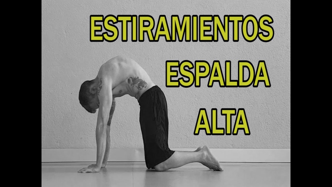 La guía completa de estiramientos || Dorsales