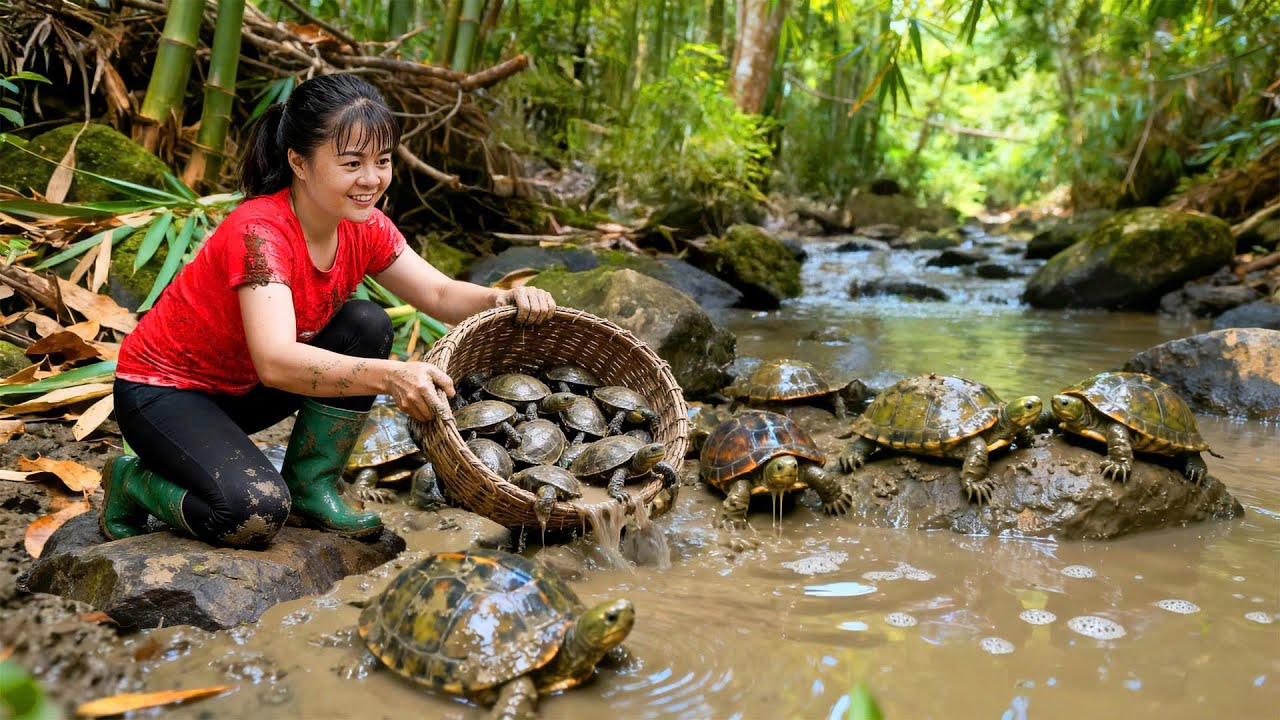 Harvesting 50+ Turtles in the Swamp - Ducks & Chickens Farm Vlog