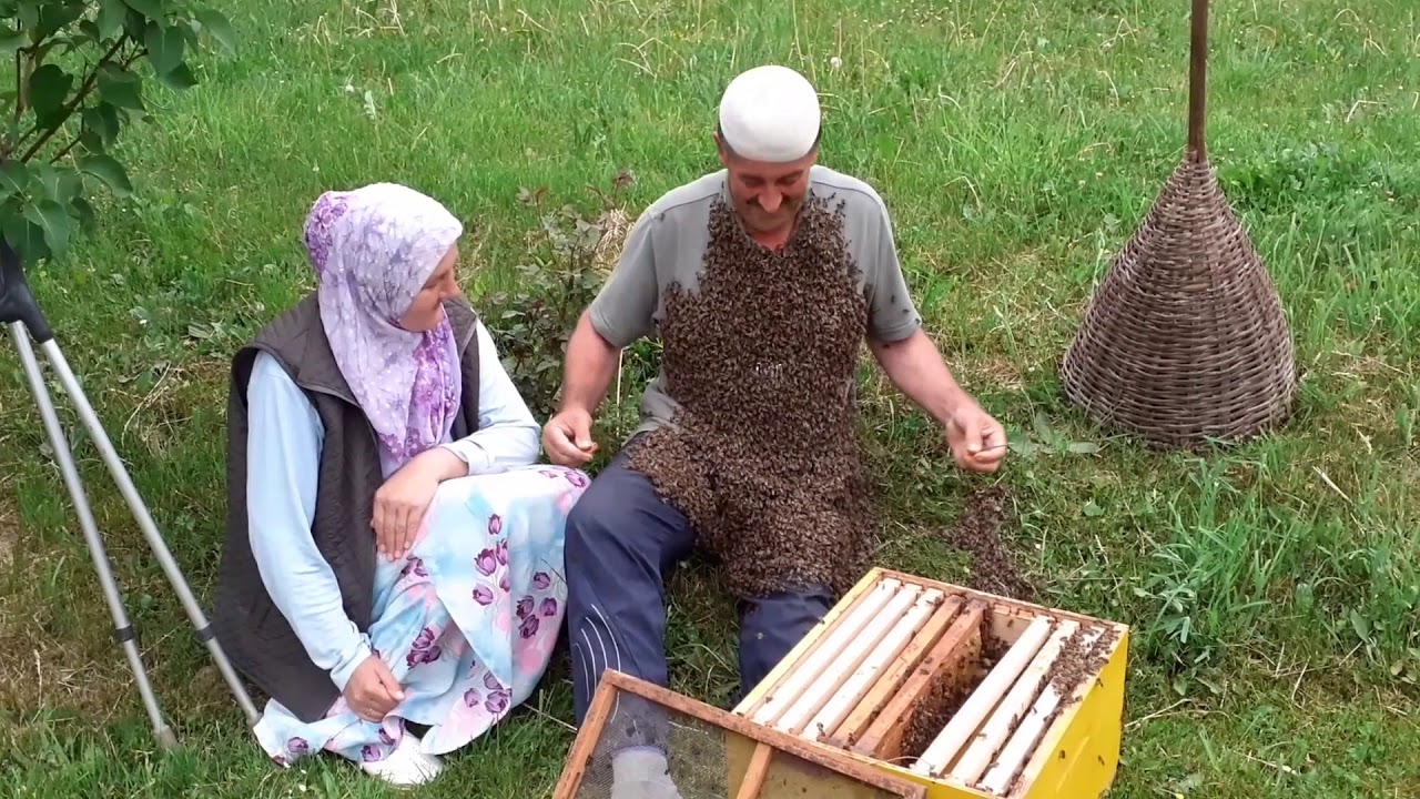 Hadžija Ahmet &Scaron;ehić - Pčelar iz Grnice
