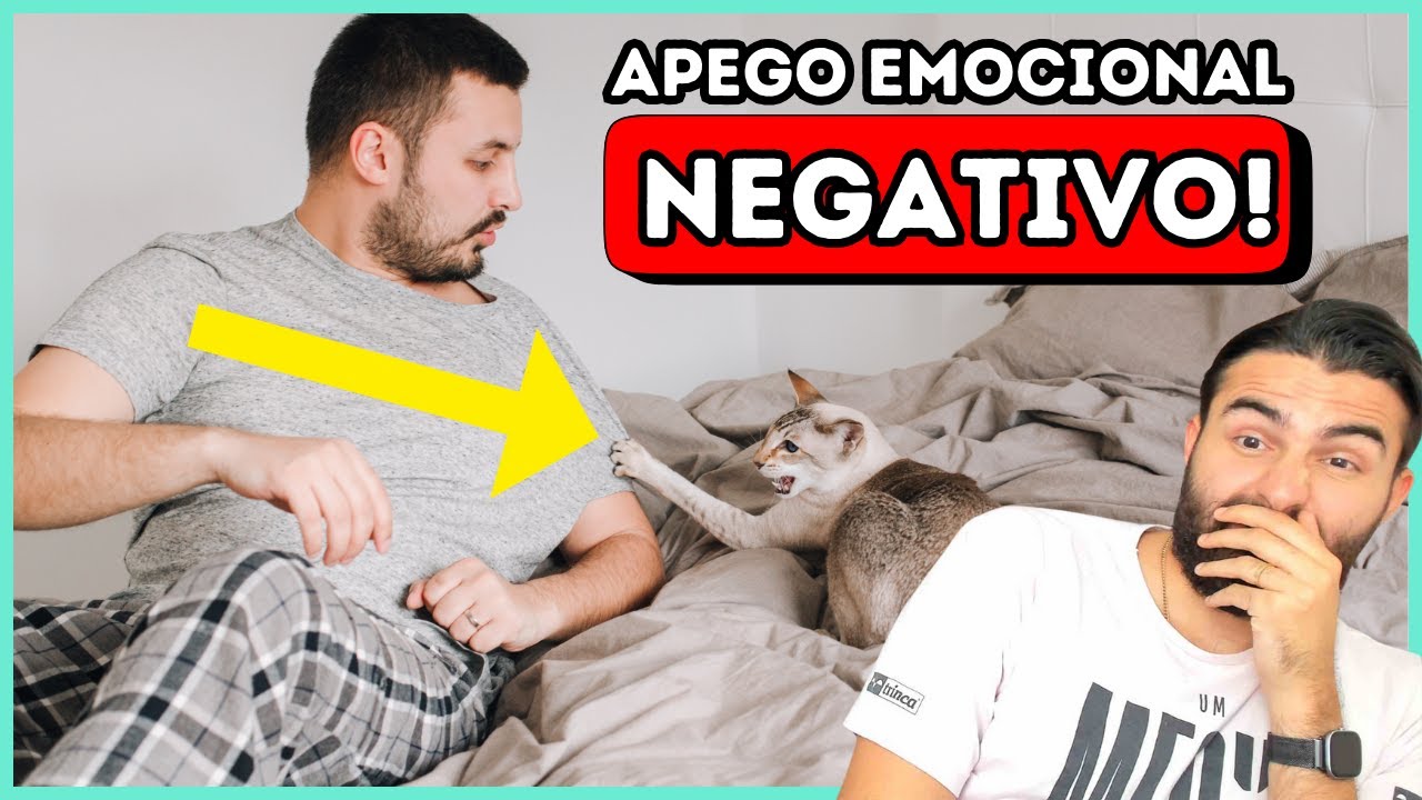 10 Sinais Que Sua Relação Com Seu Gato é TÓXICA!