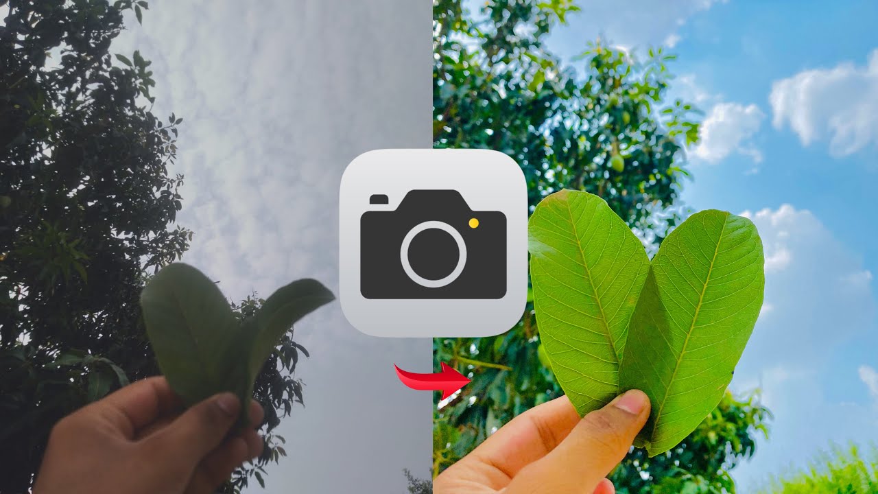 How To Improve Android Camera Quality | For All Androids