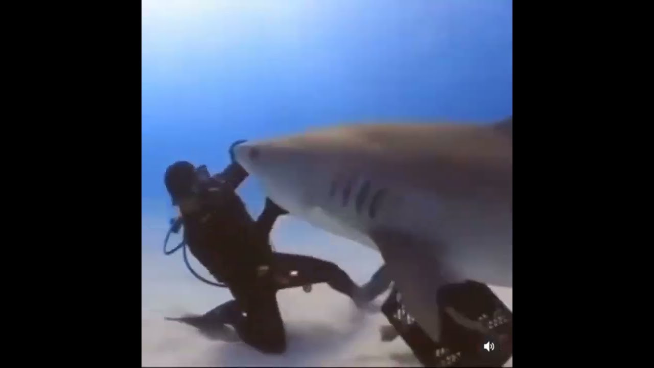 Get Rotated, Idiot