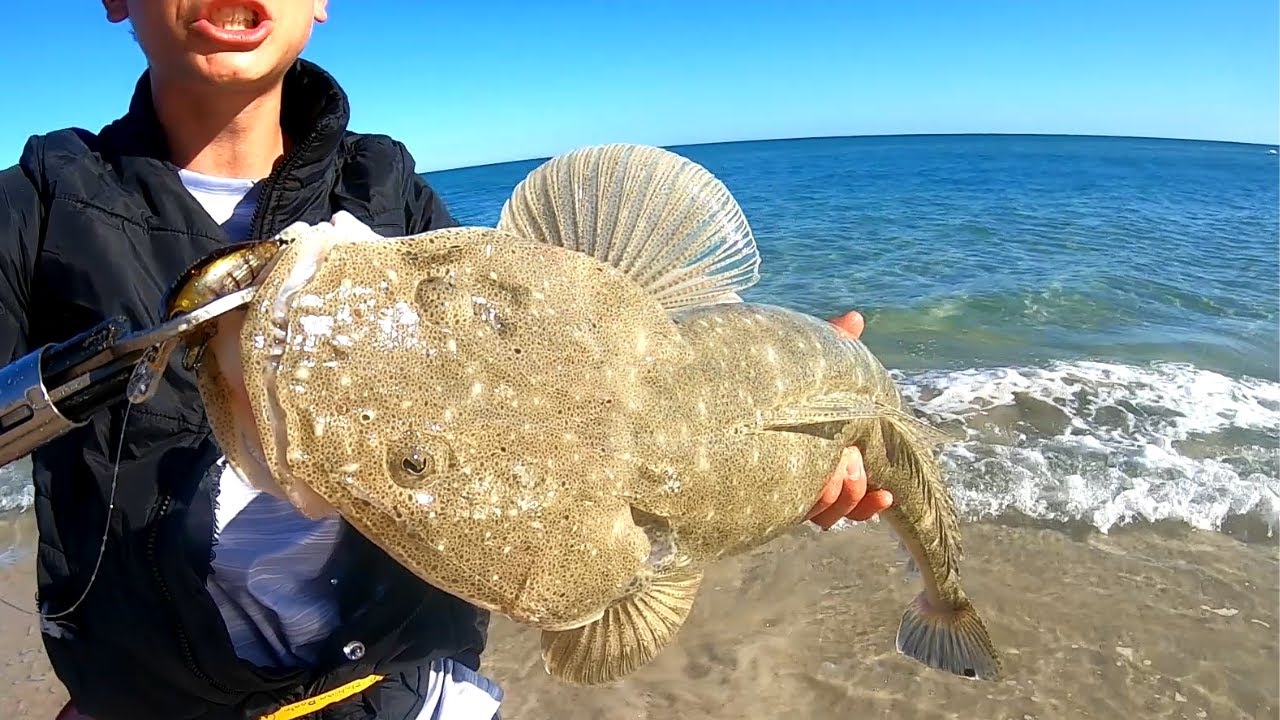DON'T NEED BIG LURES FOR BIG FISH! 