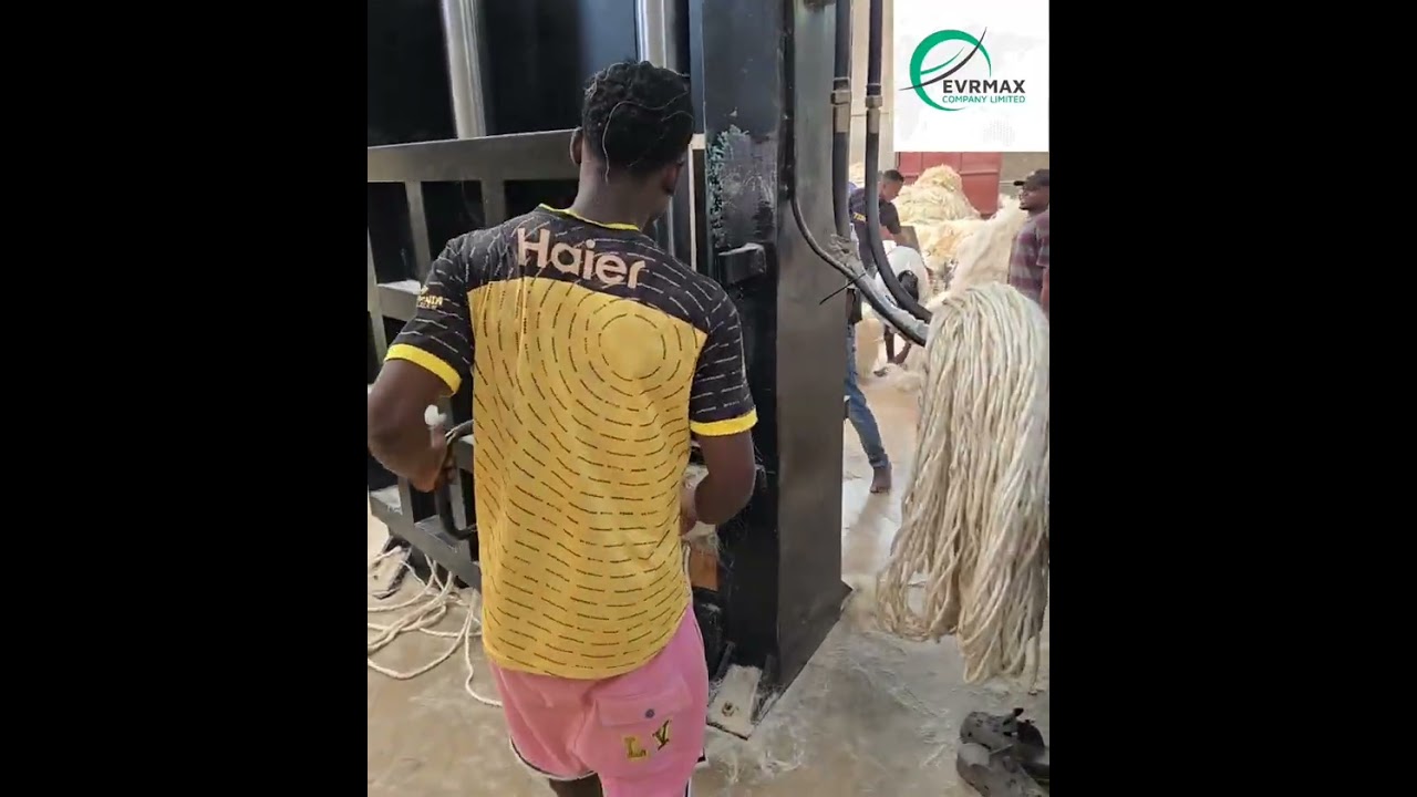Inside the Powerful Sisal Fibre Bailing Process for Global Export | Evrmax Tanzania 🇹🇿