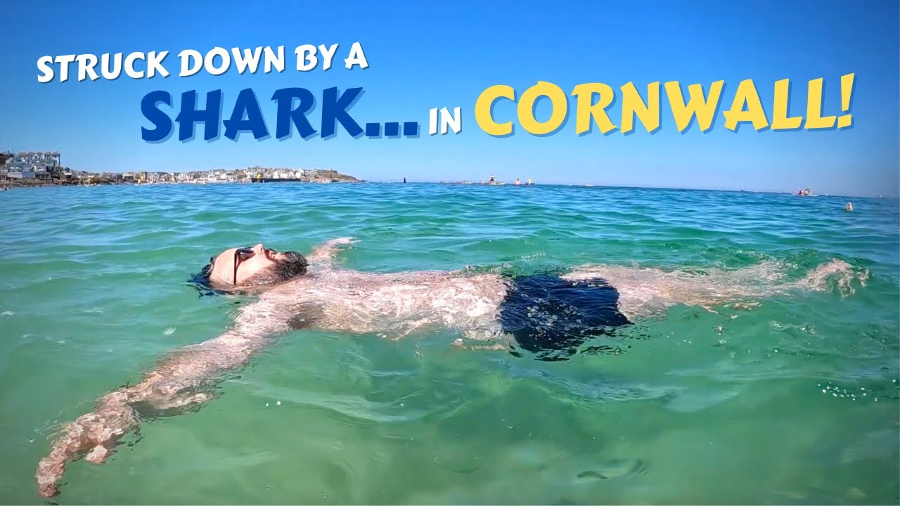 Struck down by a SHARK in Cornwall 🦈 😲