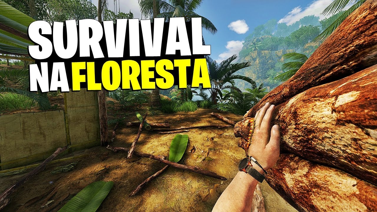 DIA 1 : SOBREVIVENDO NA FLORESTA | CONSTRUINDO UM ABRIGO IMPROVISADO E TENTANDO FICAR VIVO!