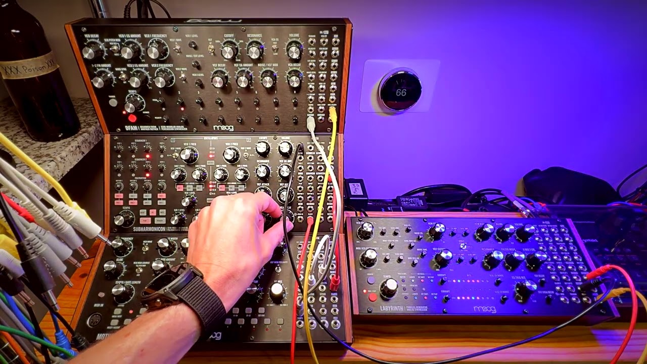 Moog DFAM, Subharmonicon, Mother-32, Labyrinth, and Hologram Microcosm Jam