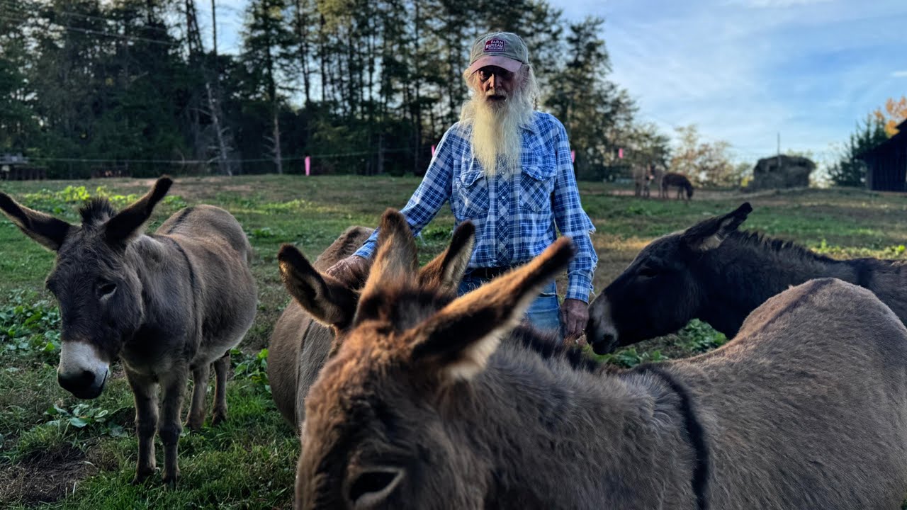 North Carolina Man Has Lived on the Same Farm for 83 Years: Waynnie Takes Us On a Tour on His Farm!!