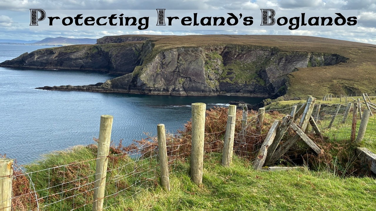 Irish Peat Bogs and the climate