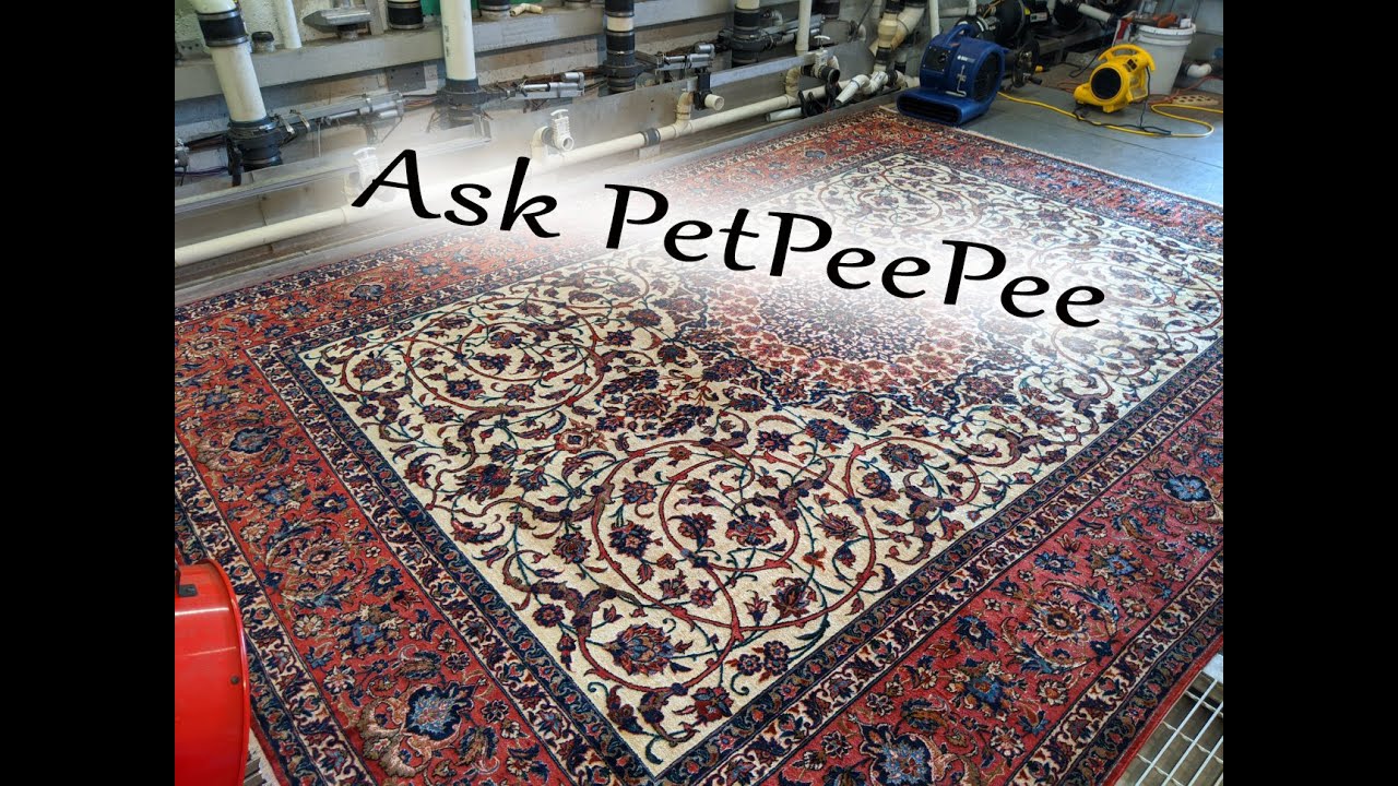 Ask PetPeePee can I Clean my Persian rug using Dry Cleaner 1