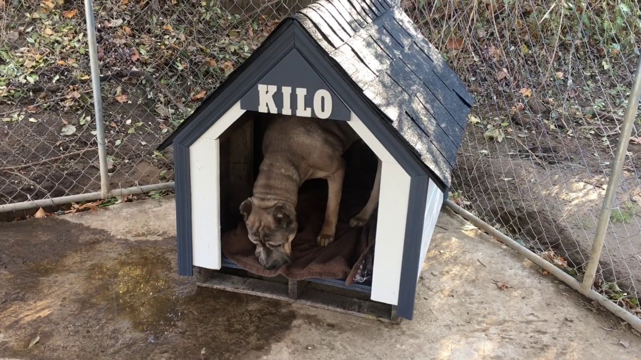 Reclaimed Dog House