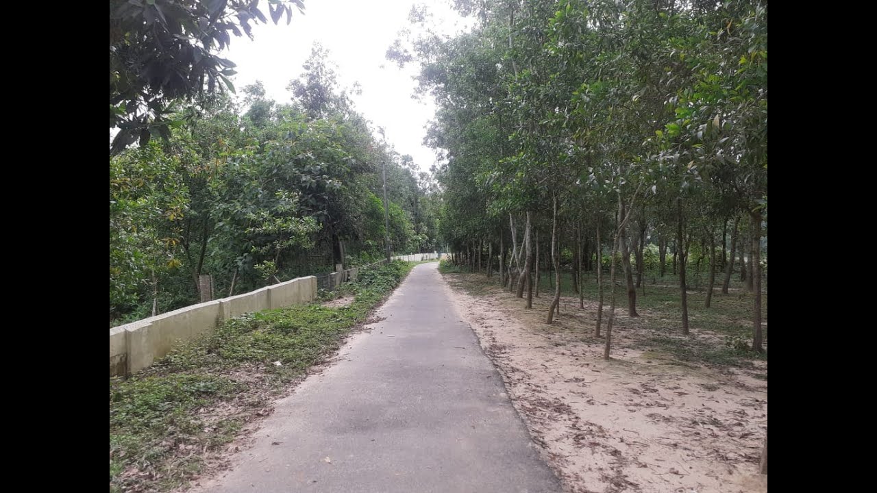 Beauty of Bangladeshi village