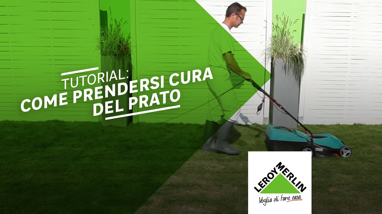 Cura del prato: come avere un prato verde tutto l'anno | Leroy Merlin