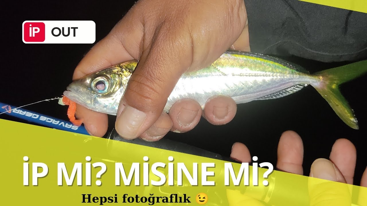 LRF avında ip mi? Misine mi? - Misina çok avcı 👍