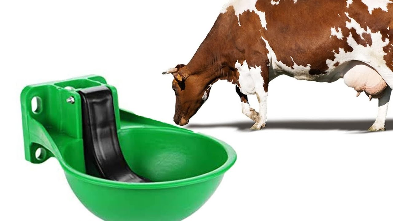 Revolutionize Your Farming with Automatic Cow Water Bowl Dispenser | Unbreakable!
