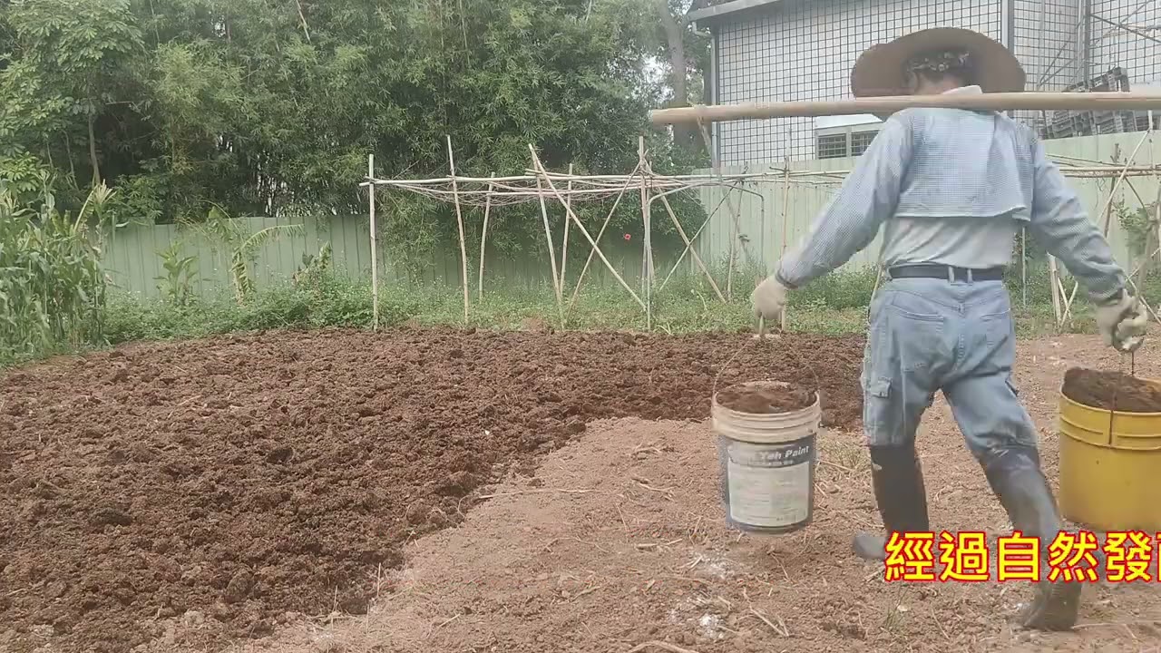 2025田園生活記事 秋耕