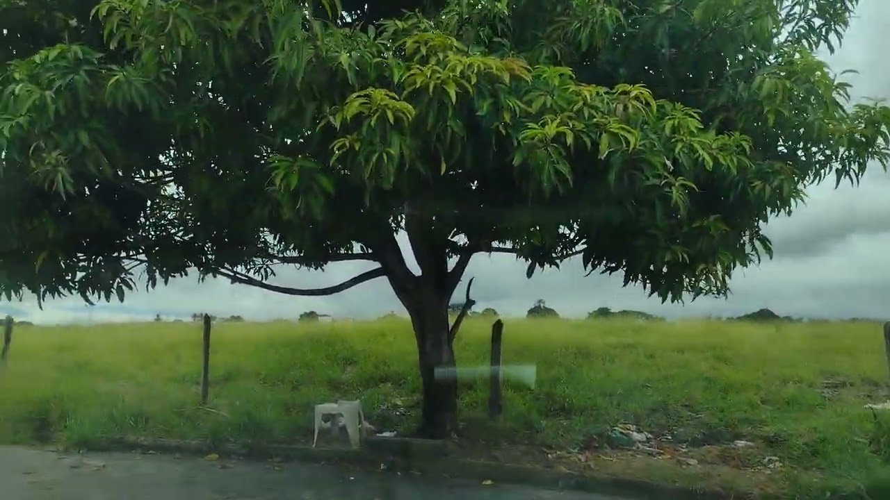 Bairro Cecap alta Lorena interior de São Paulo 