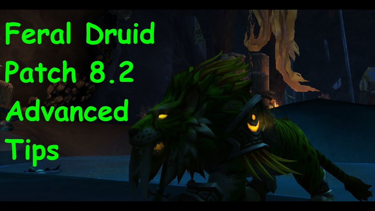 Feral Druid BFA Patch 8.2 Guide - Rounding Out Your Rotation