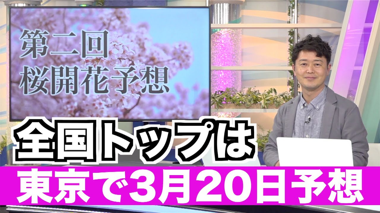 【2023年 第二回 桜開花予想】全国トップは東京で3月20日 平年並かやや早い