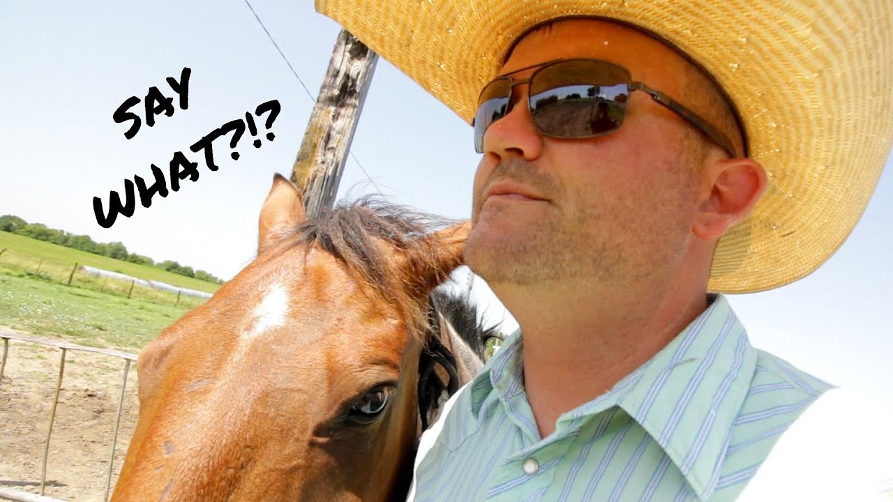 I HAVE WHAT?!? My MS story.