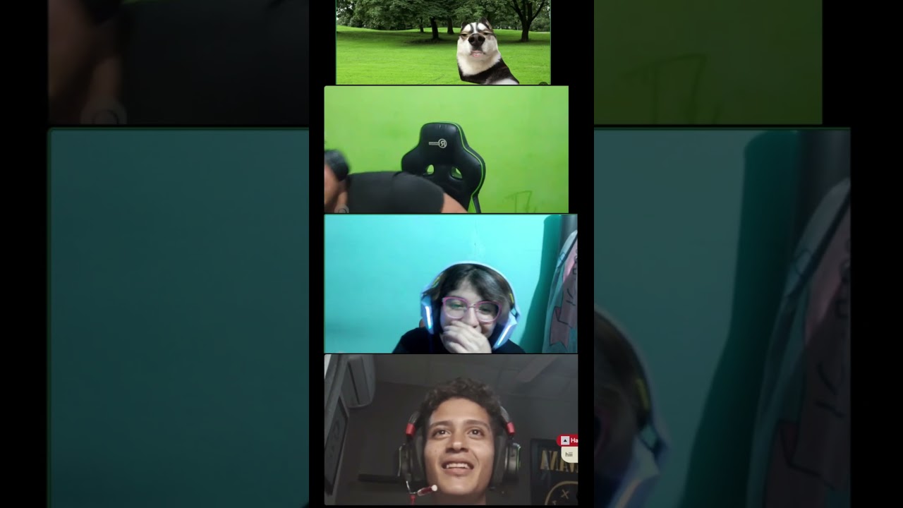 My Streams be like:  #fyp  #introduction  #livestream #funnyvideo