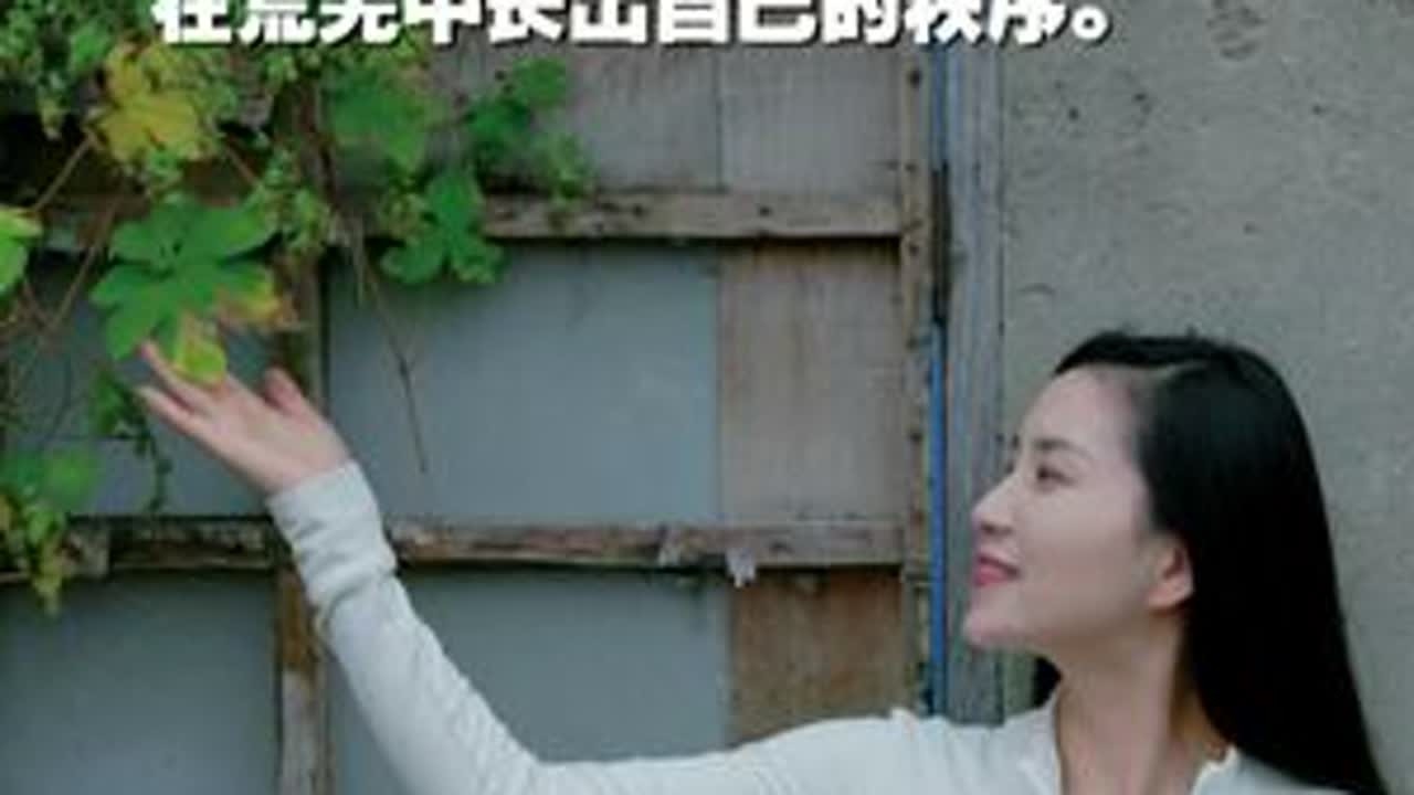 葎草：荒芜的野望 老圩村的玻璃厂旧址，葎草“接管”了荒芜。我在这里看见时间的停滞，也看见生命在悄然收复每一寸废墟。如果你的世界倒塌了，敢不敢像野草一样，从裂缝里长出一个春天？#葎草  #自然之美...
