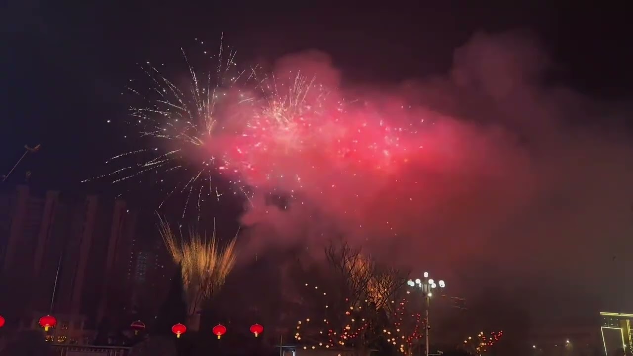 Beautiful Firecracker 💥🧨#firecracker #fireworks #happynewyear #newyear #2026