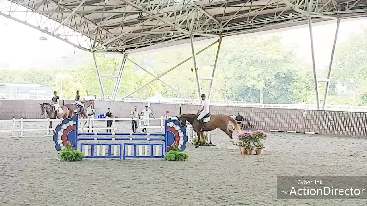 1.1m jump competition, including jump off