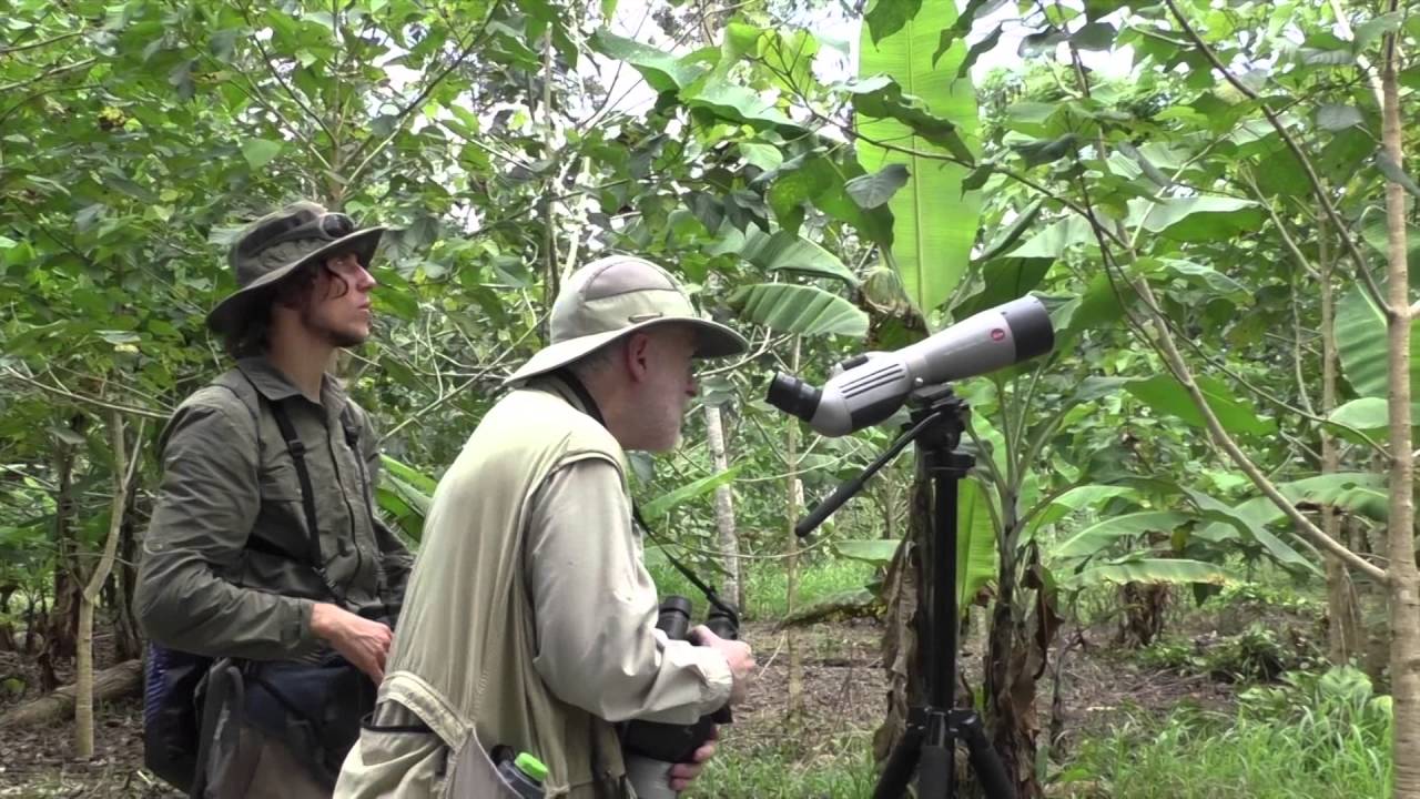 Rancho Naturalista: A Birder's Paradise