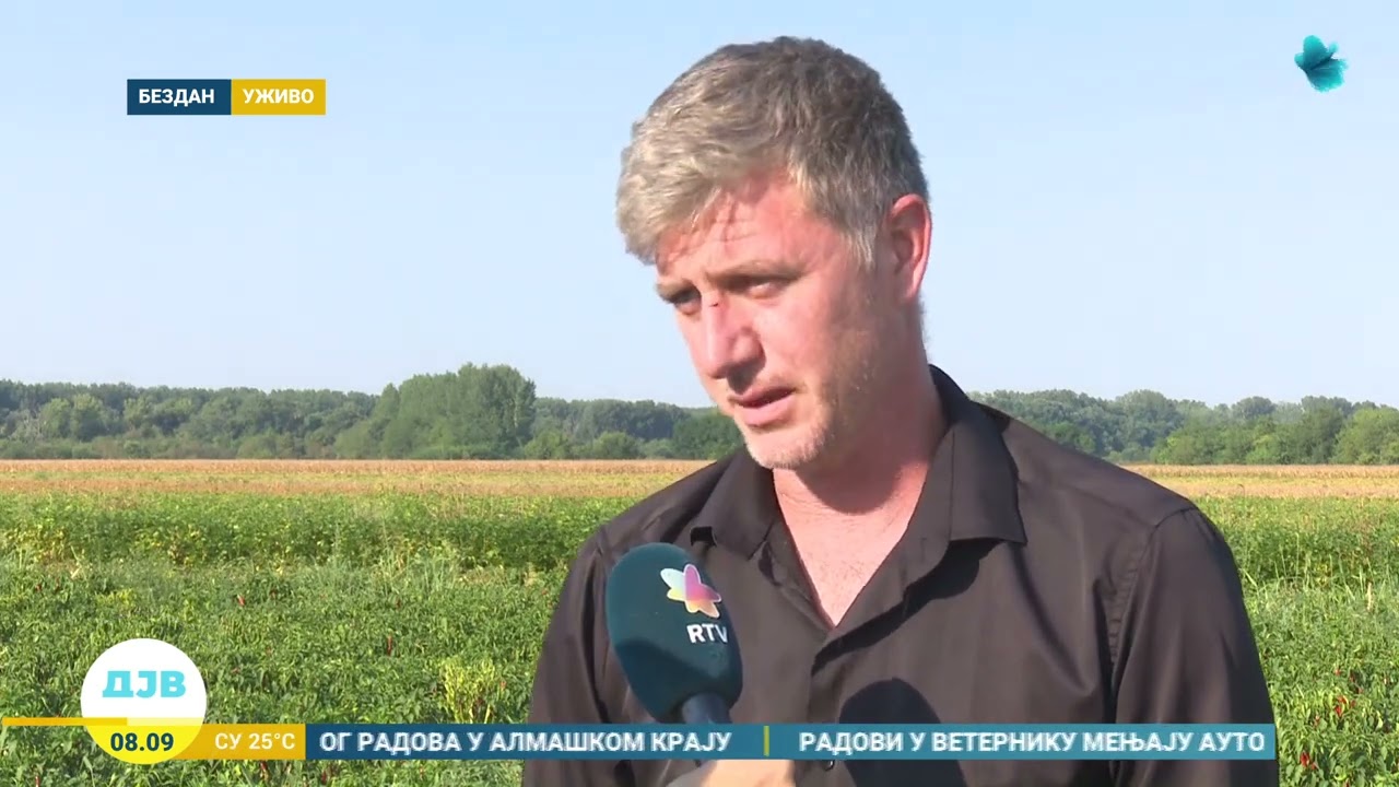 Kakav je ovogodišnji rod paradajza