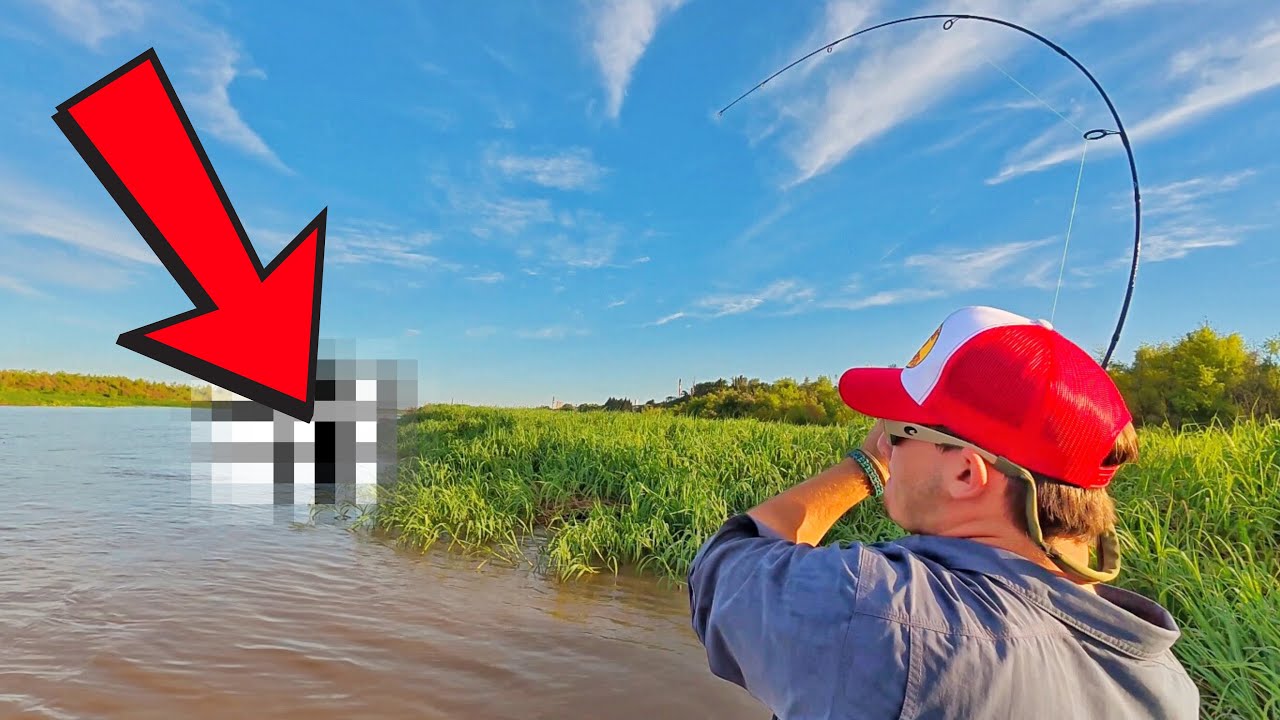 🤯PELEA ÉPICA con una RAYA | Pesca de dorado, surubí, tarucha Y MÁS‼️