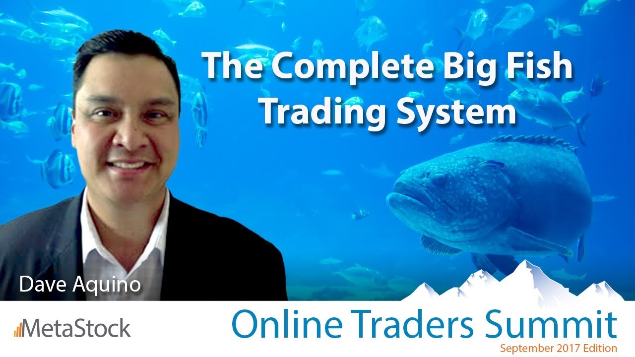The Complete Big Fish Trading System