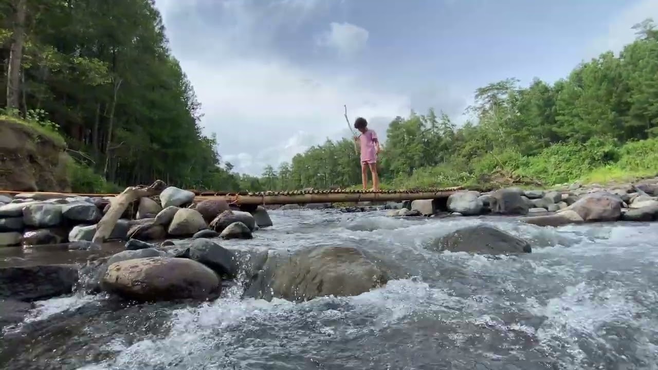SUWISS RIVER VIEW - SONGGON BANYUWANGI