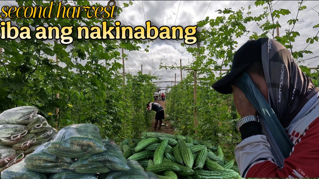 NAG-IWAN PA NG BAKAS ANG MAGNANAKAW