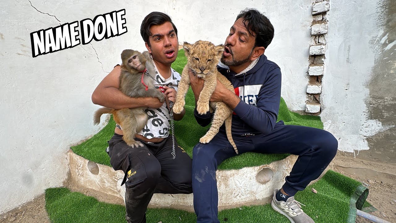 Jimmy Ny Lion Ka Name Rakha 😍 Name Done