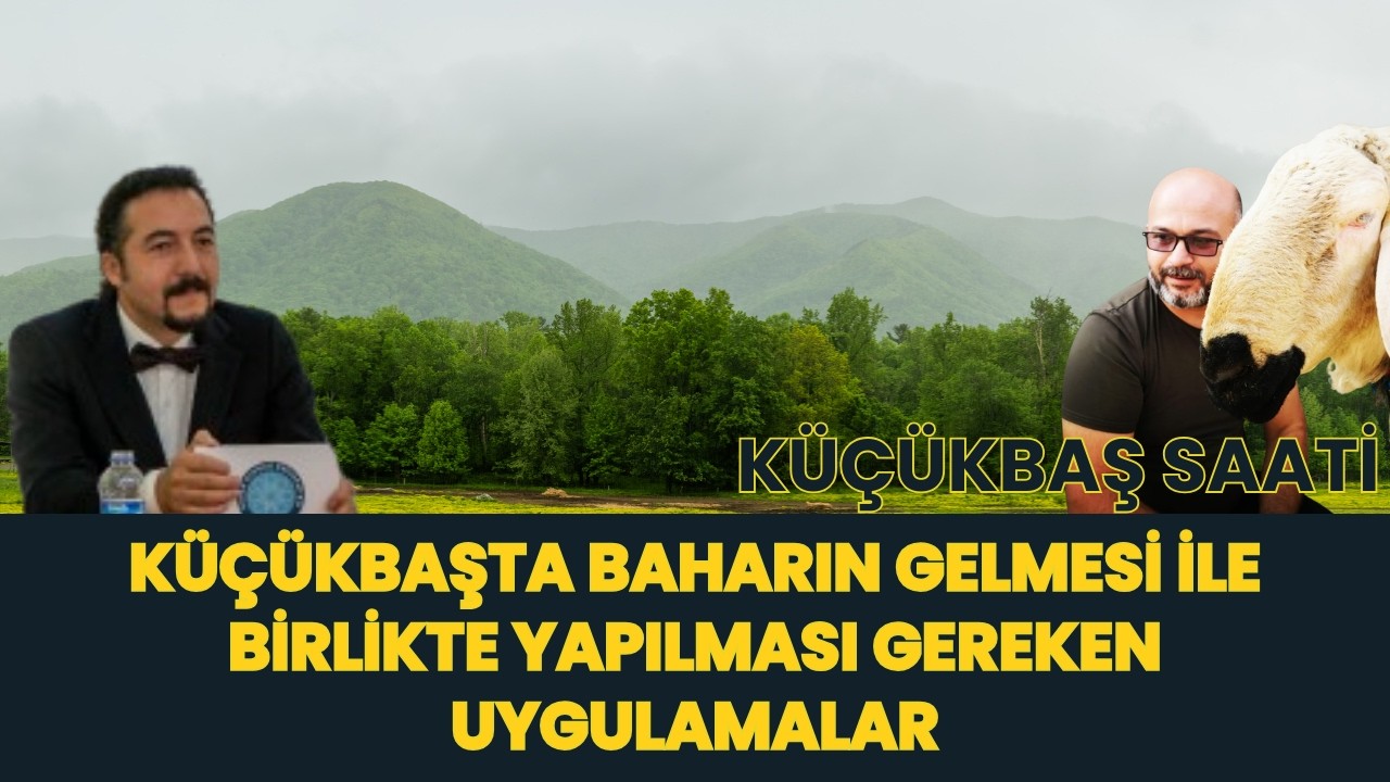 KÜÇÜKBAŞTA BAHARIN GELMESİ İLE BİRLİKTE YAPILMASI GEREKEN UYGULAMALAR I KÜÇÜKBAŞ SAATİ