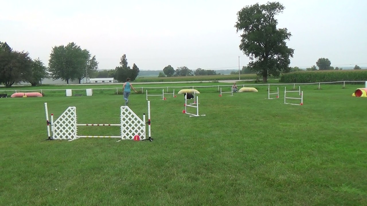 Nicole & Tally - Novice Jumpers 1