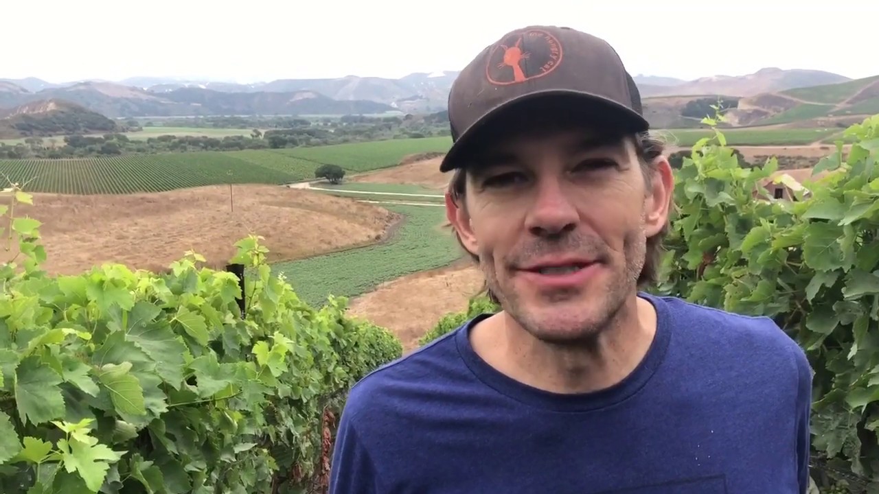Sulfur in the Vineyard at The Joy Fantastic