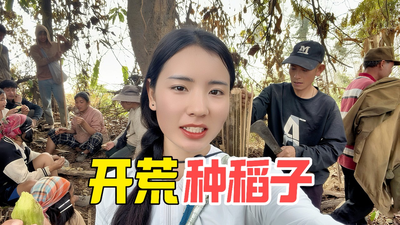 老挝大山“火光冲天”！阿诗带全村硬核烧山，稍有不慎就要赔得倾家荡产？