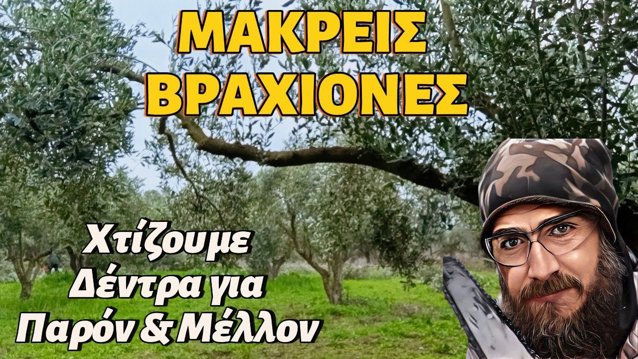 ✂️ΚΛΑΔΕΜΑ ΕΛΙΑΣ🫒ΜΑΚΡΕΙΣ ΒΡΑΧΙΟΝΕΣ🪵ΔΙΑΧΕΙΡΙΣΗ ΕΛΑΙΩΝΑ-ΤΙ & ΓΙΑΤΙ ΚΟΒΟΥΜΕ #κλάδεμα #κλάδεμα_ελιάσ
