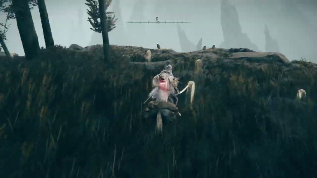 DLC