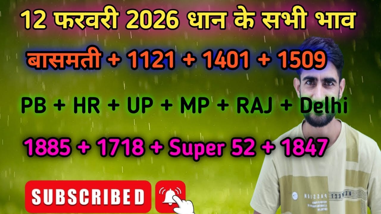 12 फरवरी धान भाव | 1121 dhan ka bhav today | 1401 dhan ka bhav today | dhan mandi bhav today