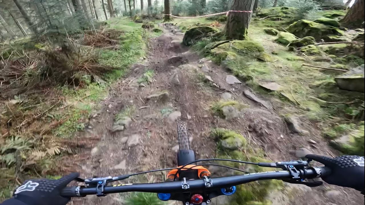 Dunkeld 🏴󠁧󠁢󠁳󠁣󠁴󠁿 Fox Testing 2022