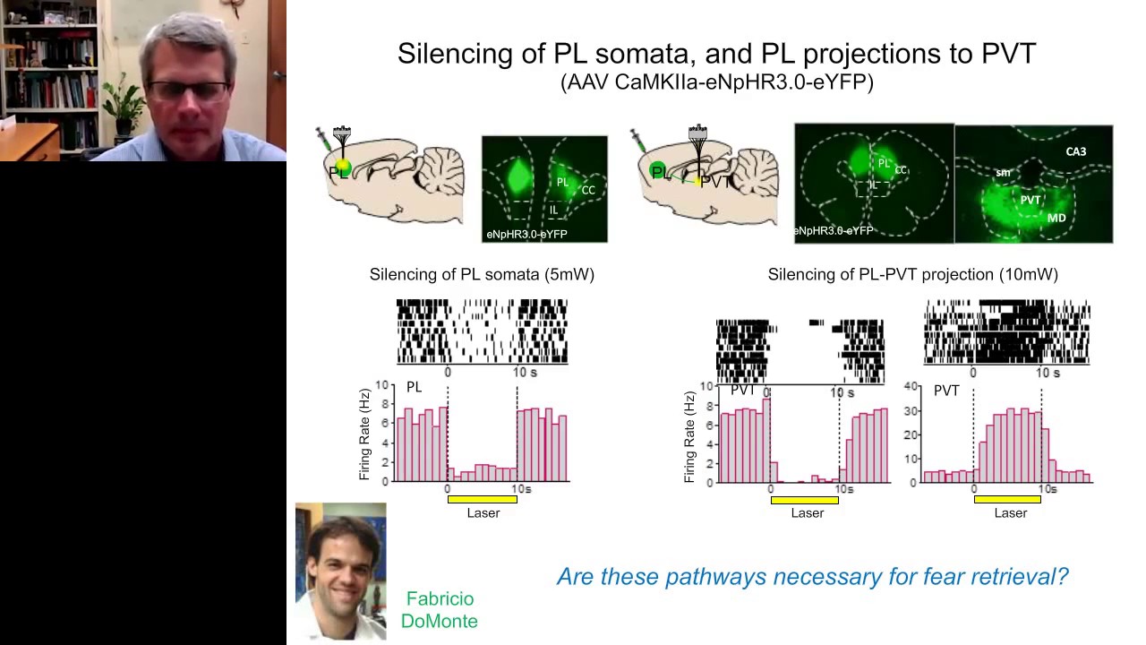 Greg quirk -  Prefrontal control of learned fear and avoidance