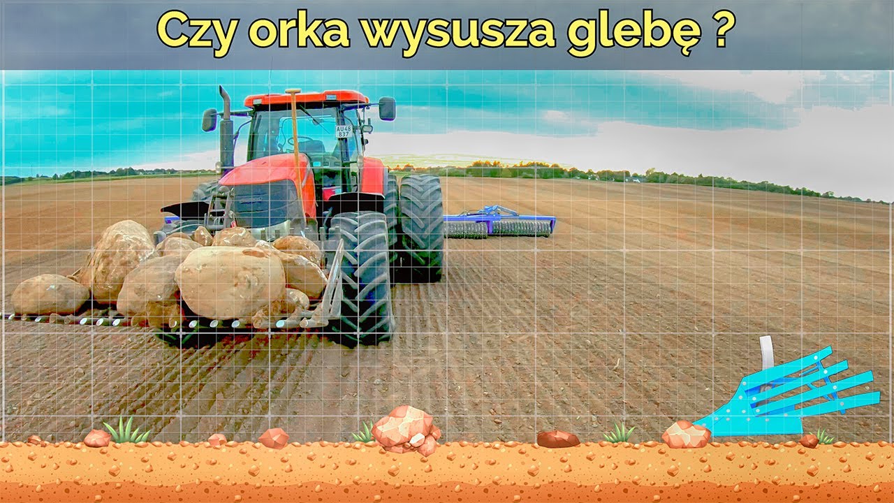 Czy orka wysusza glebę? Wałowanie posiewne