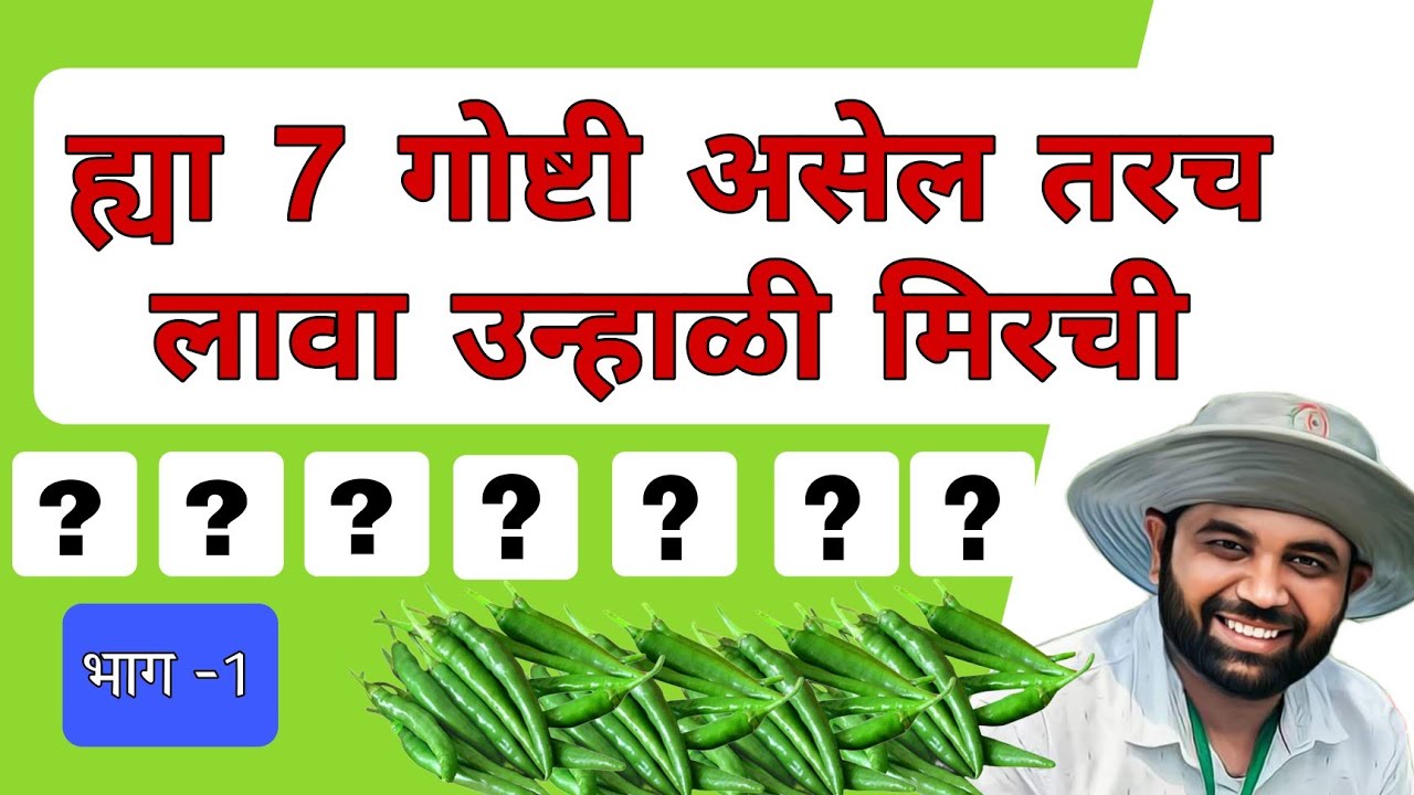 ह्या 7 गोष्टी असतील तरच लावा उन्हाळी मिरची| उन्हाळी मिरचीभाग -1#मिरची #chilli #mirachi#रोहित_बोरगावे