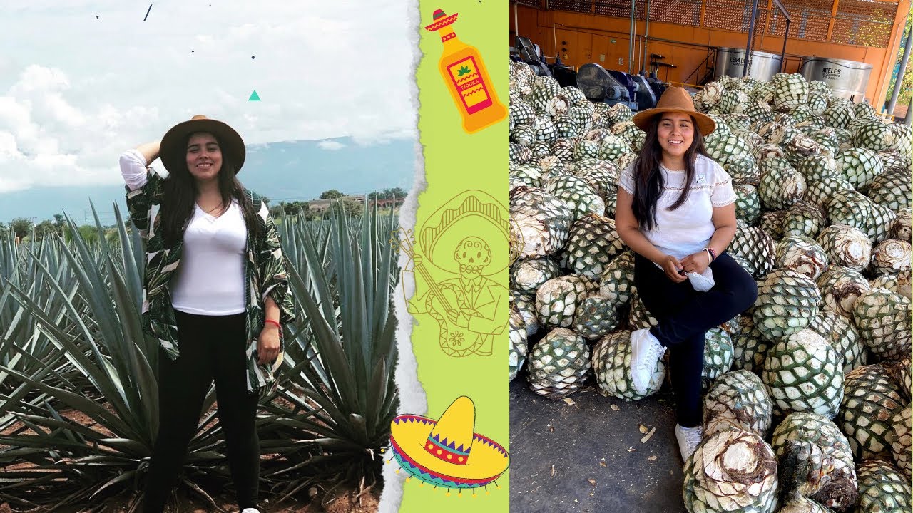 ¡Esta ciudad se la vive de FIESTA! | El corazón del TEQUILA | Tequila, Jalisco